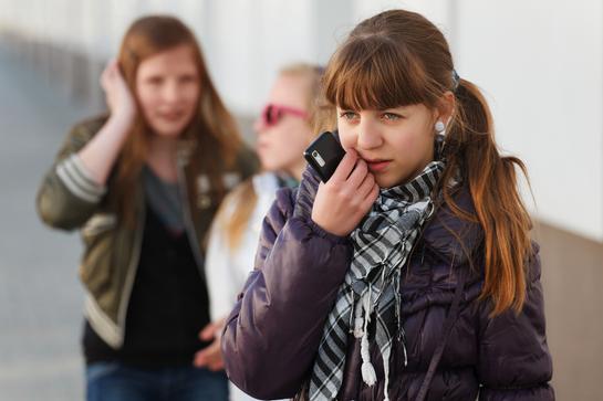 Cybermobbing, Medien